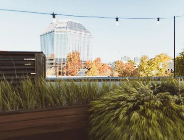 The Society Hotel hotel detail image 3