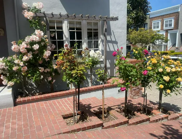 My Rosegarden Guest Rooms hotel detail image 2