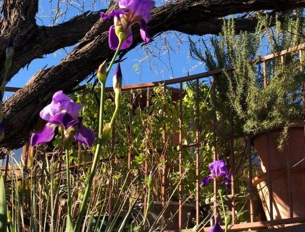 Spur Cross Inn hotel detail image 4