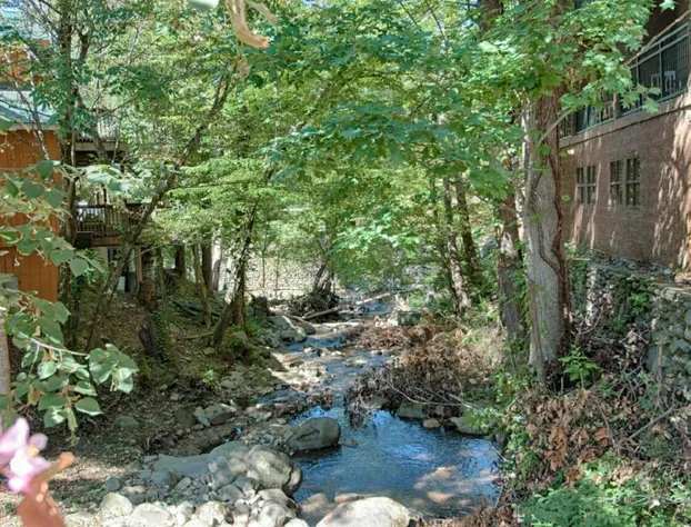 Old Creek Lodge hotel detail image 3