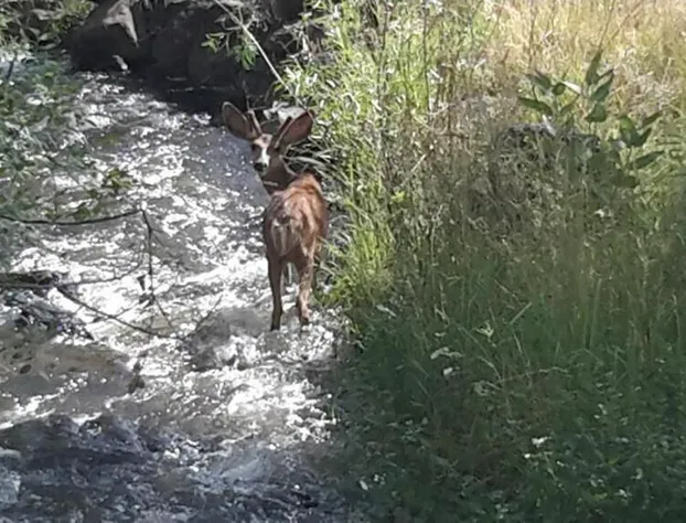 Creek Side Bed Breakfast hotel detail image 1