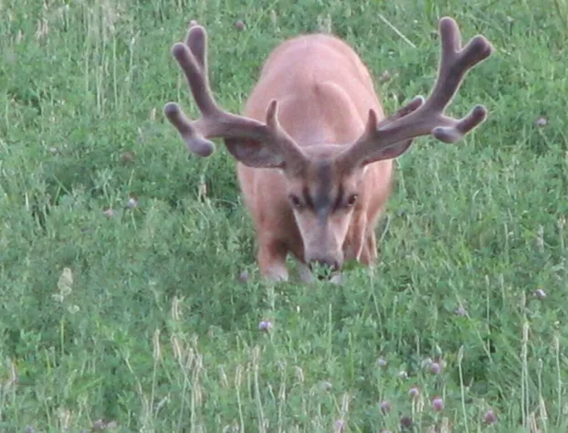 Creek Side Bed Breakfast hotel detail image 4