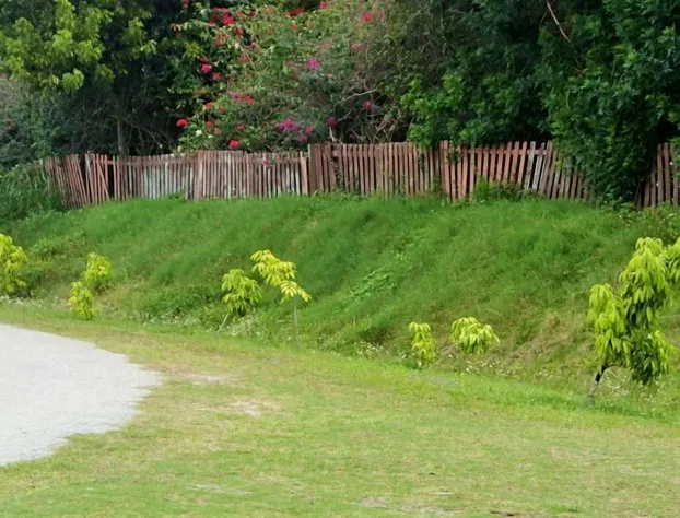 Be Inn Punta Gorda hotel detail image 4
