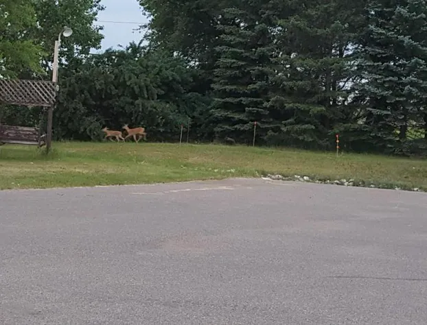 Midway Motel hotel detail image 1