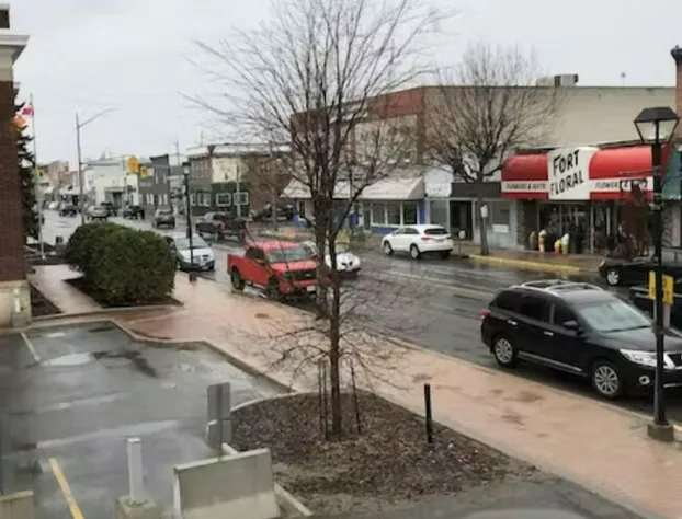 The Sleepy Owl hotel detail image 1