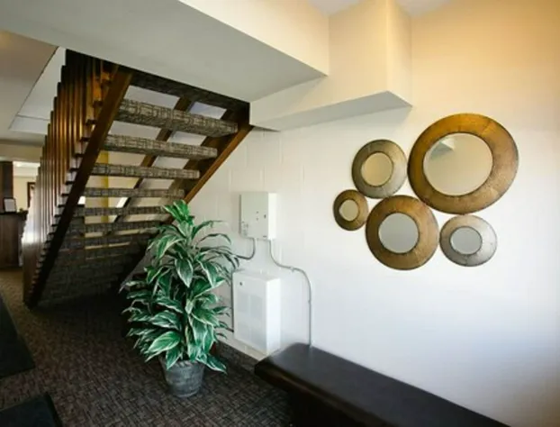 The Sleepy Owl hotel detail image 3