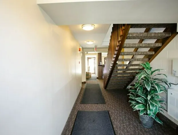 The Sleepy Owl hotel detail image 4