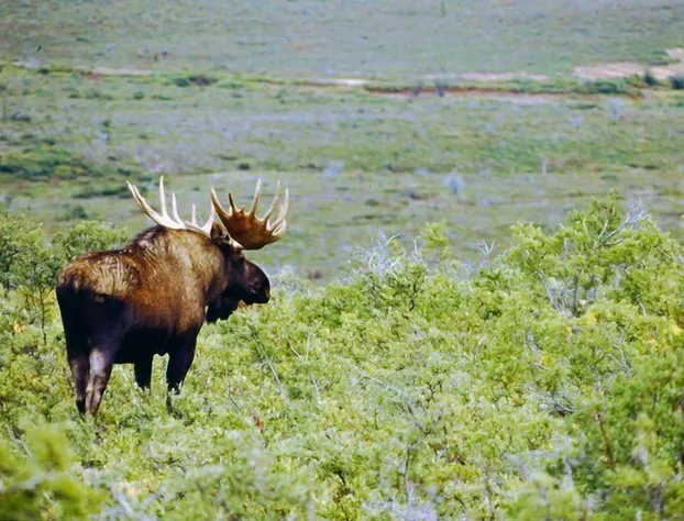 Butte's Bethel Farm B&B hotel detail image 2