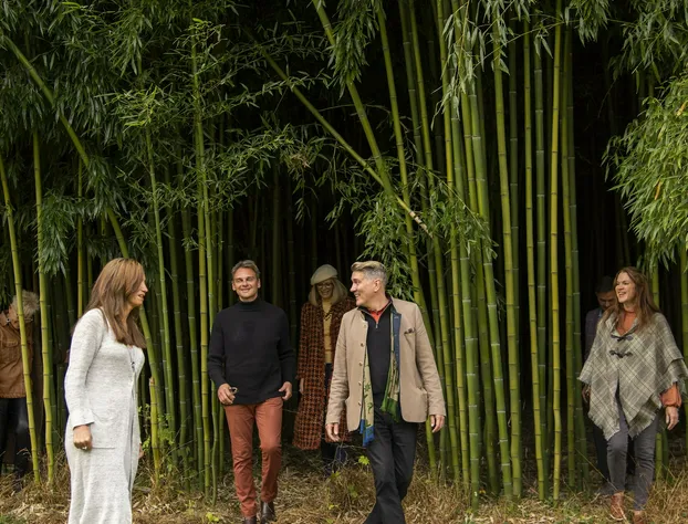 The Hollinger House hotel detail image 4