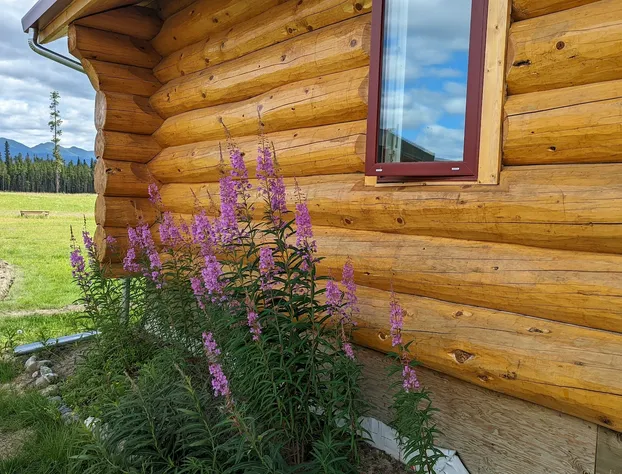 Northern Lights Resort & SPA hotel detail image 1