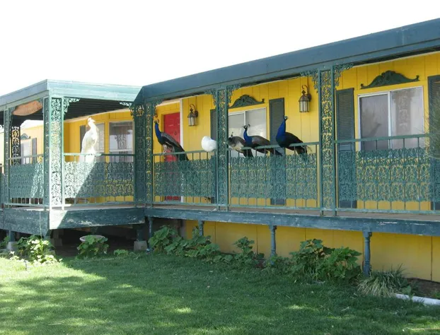 Shady Lady Bed & Breakfast hotel detail image 1