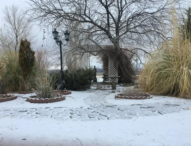 Shady Lady Bed & Breakfast hotel detail image 2