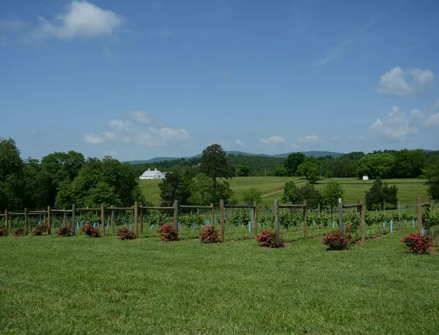 Woodville Bed and Breakfast hotel detail image 3