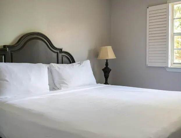 French Quarter Suites Hotel hotel detail image 4