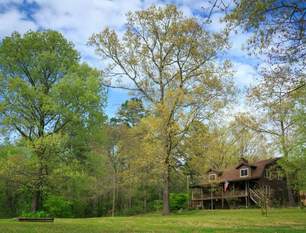 Tiffanys Bed & Breakfast hotel detail image 1