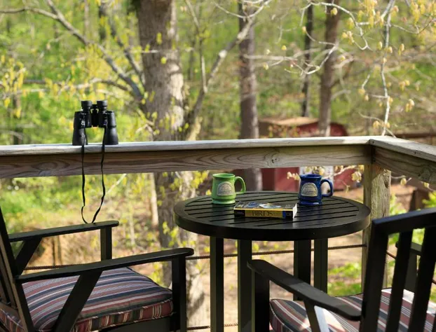 Tiffanys Bed & Breakfast hotel detail image 2