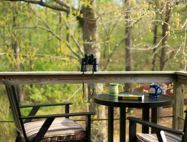 Tiffanys Bed & Breakfast hotel detail image 3