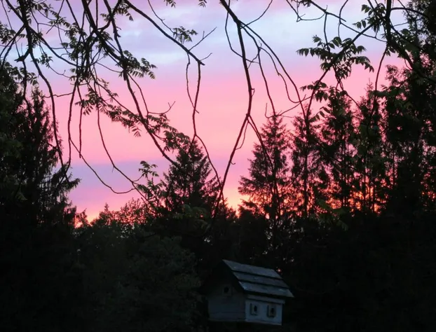 Burnbrae Farm & Paradise Inn hotel detail image 1
