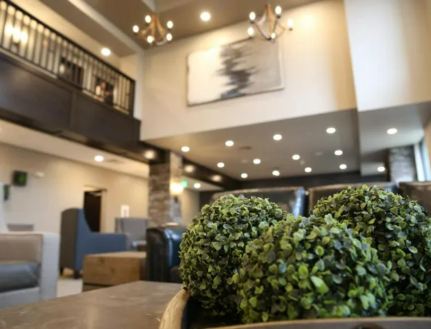 Berlin Encore Hotel & Suites hotel detail image 4