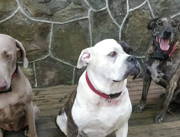 Maurrocks Bed & Breakfast hotel detail image 2