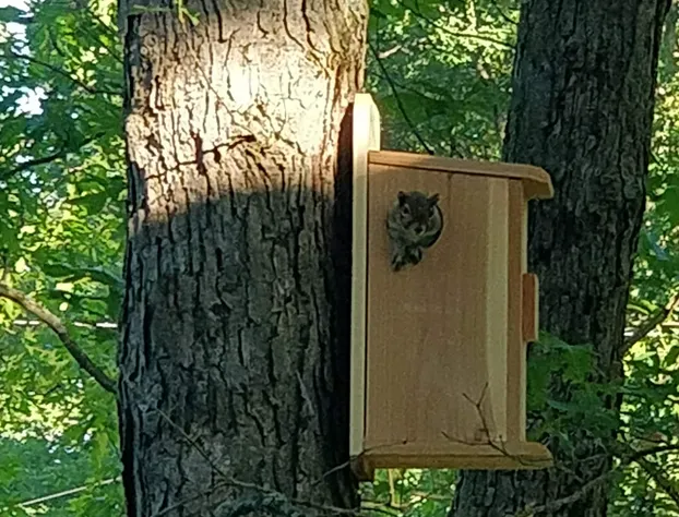 Maurrocks Bed & Breakfast hotel detail image 3