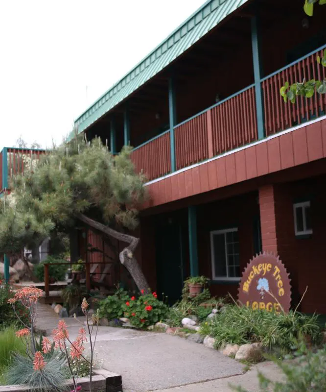 Buckeye Tree Lodge hotel hero