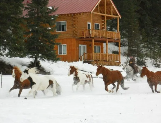 Bar W Guest Ranch hotel detail image 4