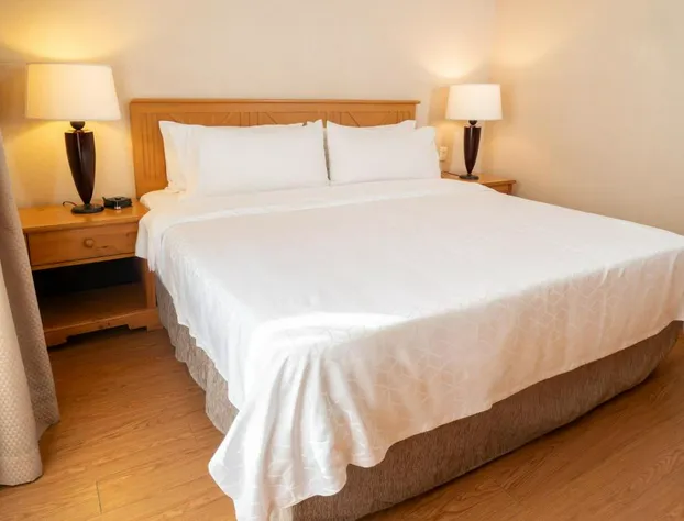 Holiday Inn Express Guanajuato by IHG hotel detail image 4