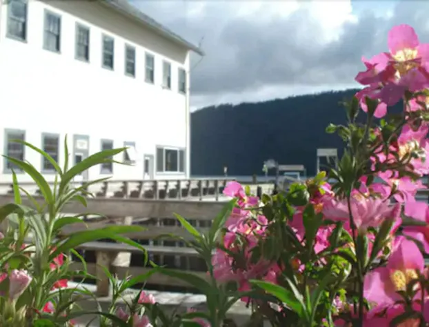 Waterfall Resort hotel detail image 1