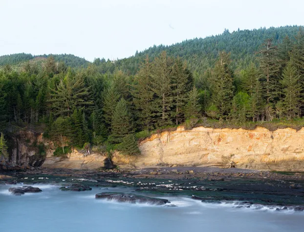 Whale Cove Inn hotel detail image 4