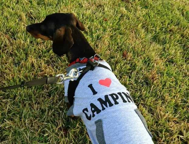 Enduro RV Citrus Valley Resort hotel detail image 4