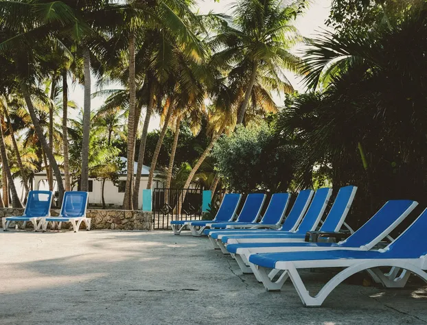 Palms Resort and Beach hotel detail image 4