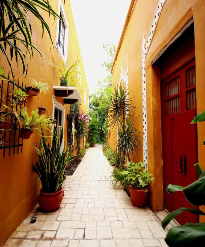 Casa Tia Micha hotel hero