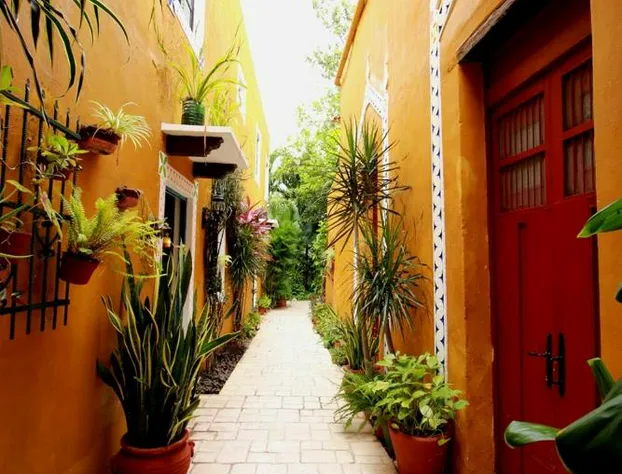 Casa Tia Micha hotel detail image 2