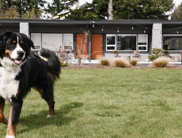 Heliotrope Hotel hotel detail image 3