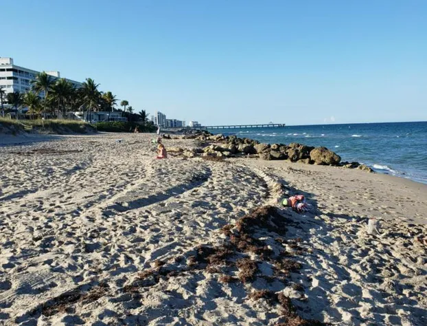 Ashley Brooke Beach Resort hotel detail image 2