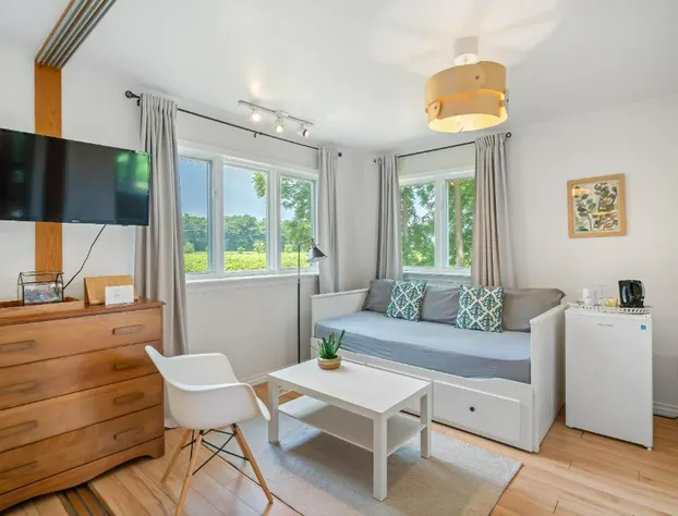 Vineyard Villa Bed & Breakfast hotel detail image 4