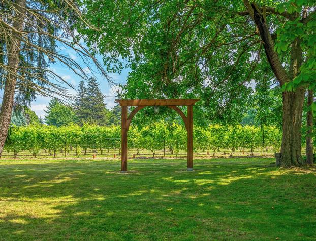 Vineyard Villa Bed & Breakfast hotel detail image 4