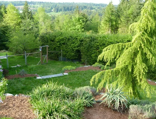 Panorama Bed and Breakfast hotel detail image 4