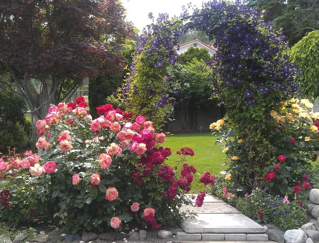 A View to Remember Bed & Breakfast hotel detail image 2