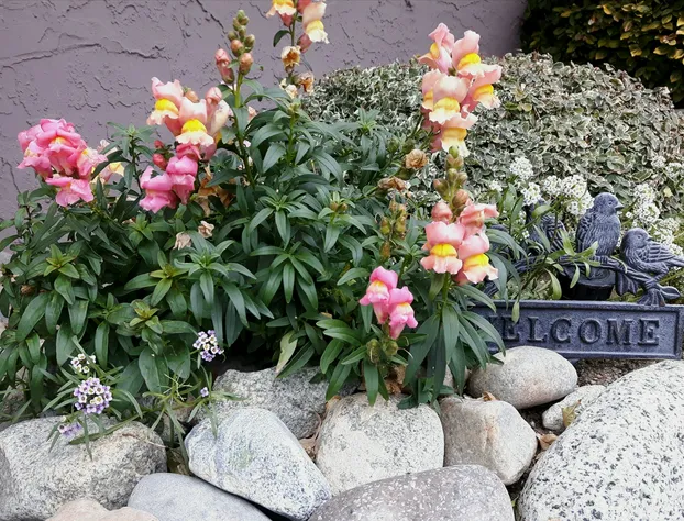 A View to Remember Bed & Breakfast hotel detail image 4