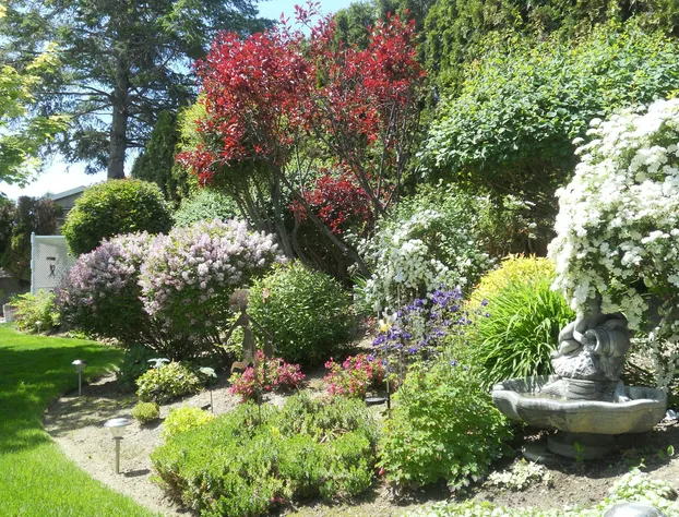 A View to Remember Bed & Breakfast hotel detail image 4
