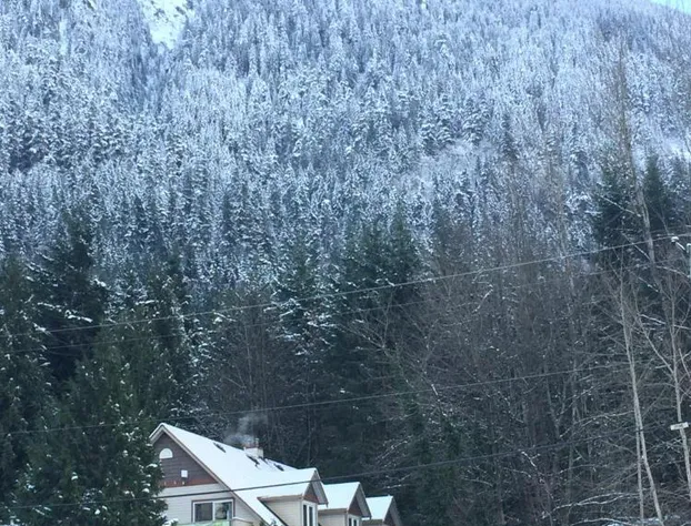 Evergreen Bed & Breakfast hotel detail image 4