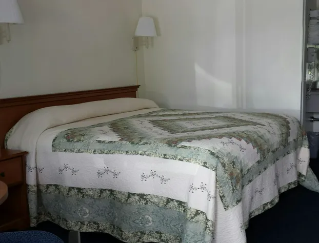 The Springs Motel hotel detail image 4