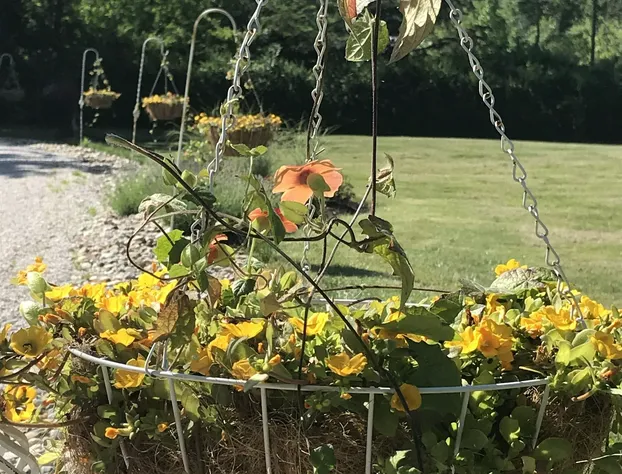 Martha's Vineyard Bed & Breakfast hotel detail image 2