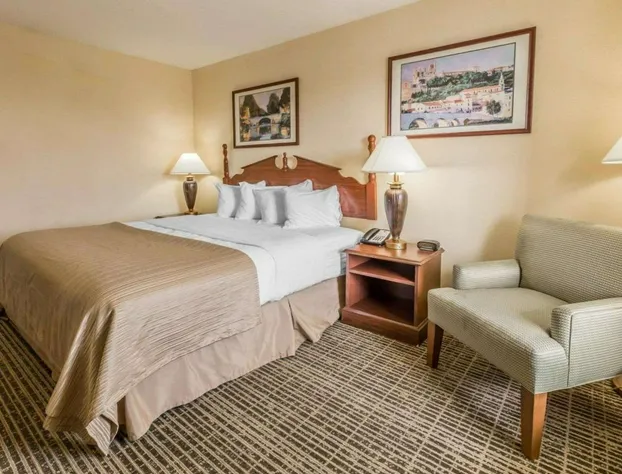 Rodeway Inn Sylacauga Hwy 280 hotel detail image 3