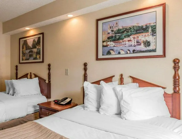 Rodeway Inn Sylacauga Hwy 280 hotel detail image 1