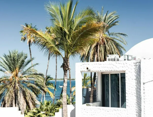 Hotel Allende hotel detail image 4