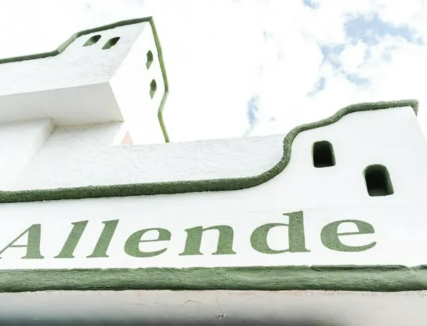 Hotel Allende hotel detail image 1