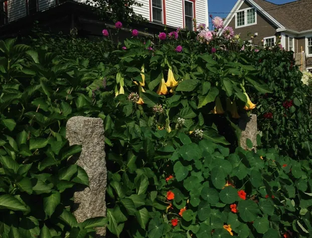 Scotch Hill Inn hotel detail image 1